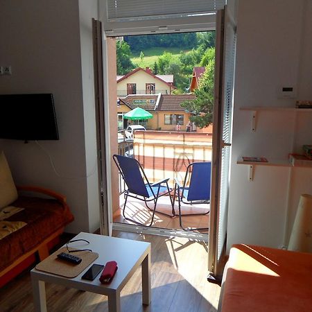 Apartament Kraszewskiego クリニツァ・ズドルイ エクステリア 写真