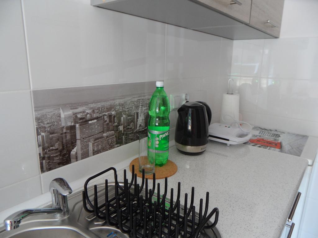 Apartament Kraszewskiego クリニツァ・ズドルイ エクステリア 写真