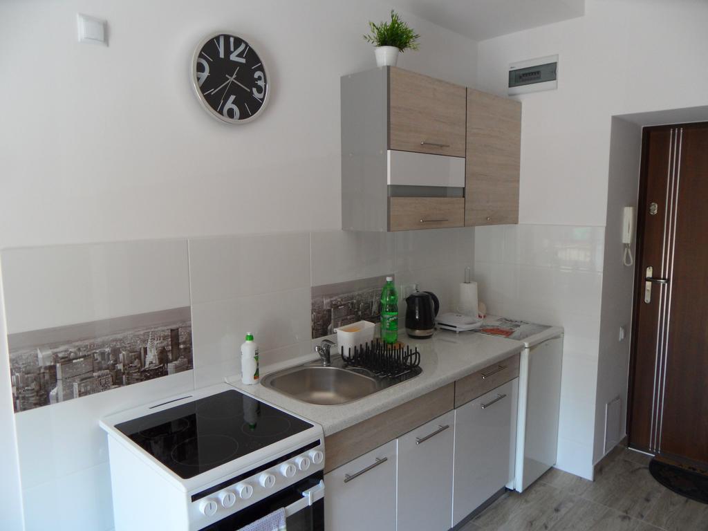 Apartament Kraszewskiego クリニツァ・ズドルイ エクステリア 写真