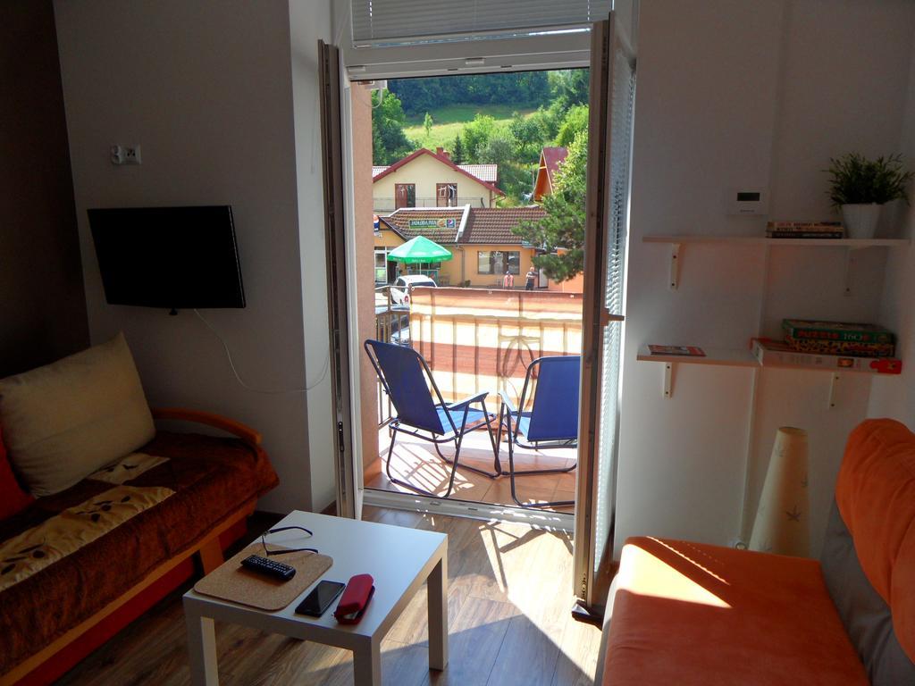 Apartament Kraszewskiego クリニツァ・ズドルイ エクステリア 写真