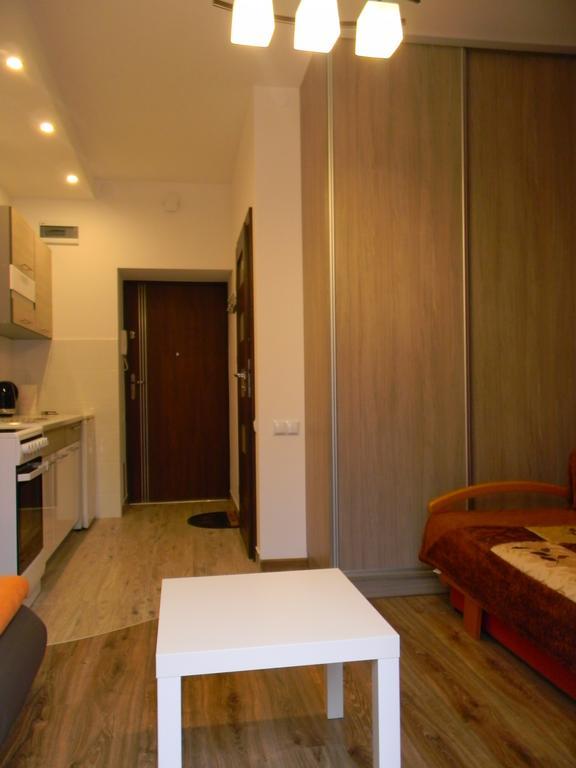 Apartament Kraszewskiego クリニツァ・ズドルイ エクステリア 写真