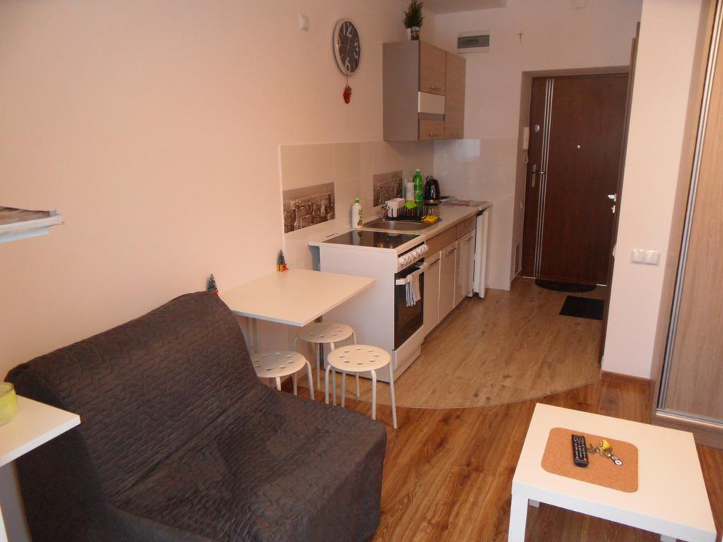 Apartament Kraszewskiego クリニツァ・ズドルイ エクステリア 写真